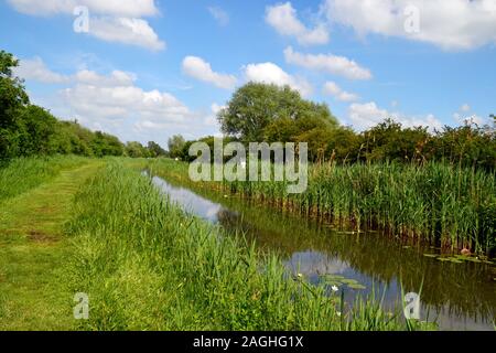 Wicken Fen Riserva Naturale, Wicken, Cambridgeshire, Regno Unito Foto Stock