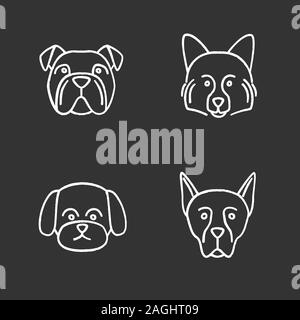 Razze di cani chalk set di icone. Bulldog inglese, Spitz tedesco, Maltese, Dobermann. Vettore isolato illustrazioni della lavagna Illustrazione Vettoriale