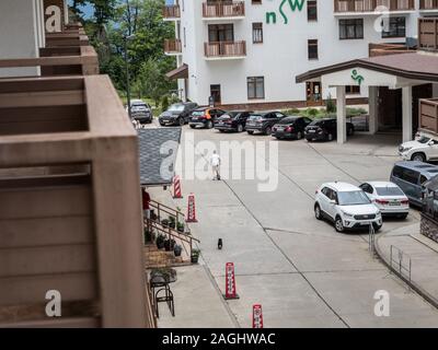 Una ragazza scorre su uno skateboard e un cane corre dietro di lei sul territorio dell'Hotel Rosa Khutor. La Russia Sochi 08 04 2019 Foto Stock