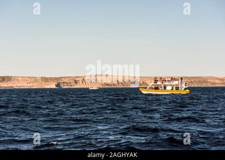 Le persone sulla barca facendo whale watching in Golfo Nuevo, Penisola Valdes, Patagonia, Argentina Foto Stock