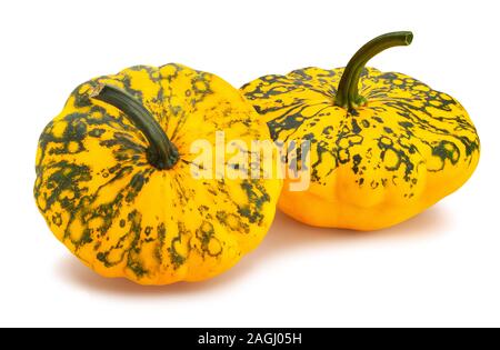 Pattypan squash percorso isolato su bianco Foto Stock