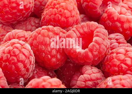 Lampone macro closeup focus dettaglio Foto Stock