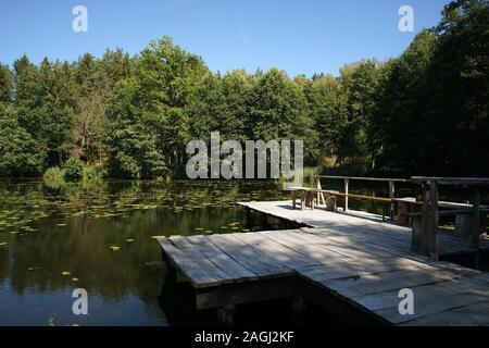 Legno vecchio molo di pesca sul lago nella foresta Foto Stock