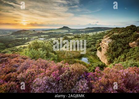 Heather a Cockshaw colle che domina a Roseberry Topping Foto Stock