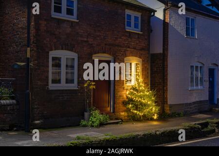 Chritsmas alberi e luci di notte in Pembridge. Herefordshire. Inghilterra Foto Stock