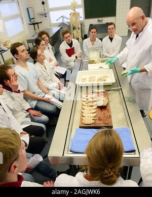 13 dicembre 2019, Sassonia, Lipsia: In una sala di dissezione presso l'Istituto di Anatomia della Facoltà di Medicina dell'Università di Lipsia, direttore dell'Istituto, prof. Il dottor Ingo Bechmann, dimostra la vista anatomia del cervello umano al terzo anno gli studenti. Il seminario sulla neuroanatomia può essere utilizzato per identificare le alterazioni patologiche del cervello nella malattia di Alzheimer, tra le altre cose. Il centro di formazione per attualmente circa 3000 studenti di medicina umana e dentaria con i suoi 48 istituti e ambulatori è il leader in Germania in termini di breve durata degli studi e di successo r Foto Stock