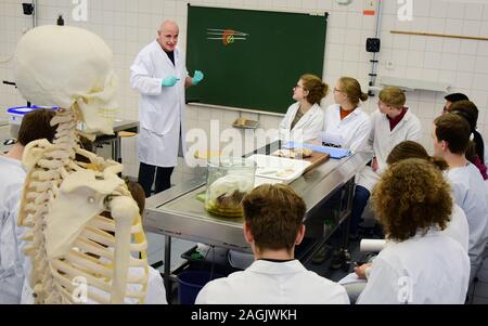 13 dicembre 2019, Sassonia, Lipsia: In una sala di dissezione presso l'Istituto di Anatomia della Facoltà di Medicina dell'Università di Lipsia, direttore dell'Istituto, prof. Il dottor Ingo Bechmann, dimostra la vista anatomia del cervello umano al terzo anno gli studenti. Il seminario sulla neuroanatomia può essere utilizzato per identificare le alterazioni patologiche del cervello nella malattia di Alzheimer, tra le altre cose. Il centro di formazione per attualmente circa 3000 studenti di medicina umana e dentaria con i suoi 48 istituti e ambulatori è il leader in Germania in termini di breve durata degli studi e di successo r Foto Stock