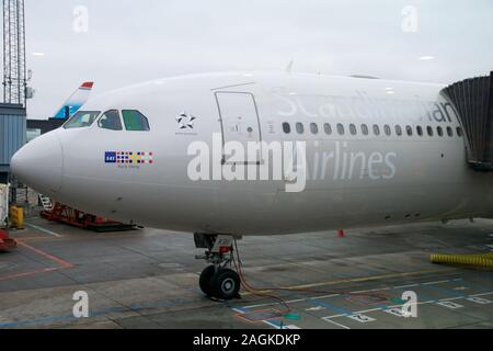 Copenaghen, Danimarca - Novembre 24th, 2018: SAS Airbus A340 al gate di partenza di Copenhagen Kastrup Airport prima di partire per gli Stati Uniti Foto Stock