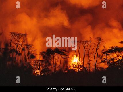 Gli alberi si stagliano dalle riprese di lava verso l'alto a partire da una apertura in una delle numerose fessure nell'Leilani Estates quartiere alla sera di maggio 25, 2018 in Pahoa, Hawaii, Stati Uniti. Volcanic? Attività del Kilauea è stato continuo, forzando l'evacuazione in certa zona residenziale, a seguito di una massiccia eruzione in precedenza in maggio. (Foto di Yich?uan Cao/Sipa USA) Foto Stock