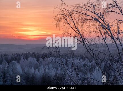 Scenic view with beautiful sunset and frosty tree at winter evening in Finland Foto Stock