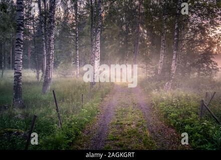 Paesaggio con strada idilliaco e la nebbia in serata estiva in Finlandia Foto Stock