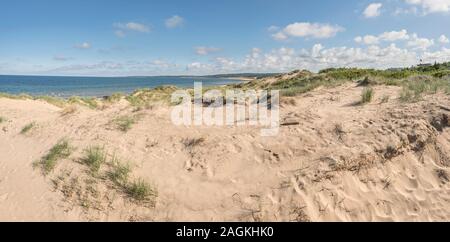 Le dune di sabbia e spiaggia vuota a Tylosand, Halmstad, Halland, Svezia e Scandinavia Foto Stock