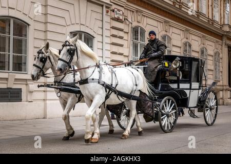 Carrozza a cavalli in una strada di Vienna, Austria Foto Stock