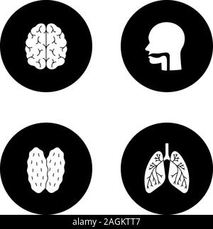 Gli organi interni di glifi set di icone. Cervello, la cavità orale, timo, polmoni con dei bronchi e dei bronchioli. Vettore silhouette bianca illustrazioni in nero circl Illustrazione Vettoriale