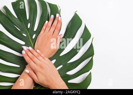Donna con le mani belle manicure giacente su foglie di monstera Foto Stock