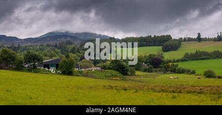 Ben Vrackie mountain sorge dietro i campi di pascolo sopra Pitlochry in Highland Perthshire. Foto Stock