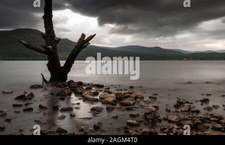 Il tronco di un albero morto sorge sulle sponde del Loch Rannoch serbatoio in Highland Perthshire. Foto Stock