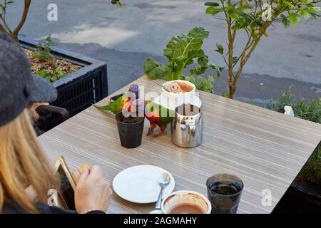 Un paio di Lorichets arcobaleno (Trichoglossus Moluccanus) su un tavolo da caffè all'esterno con uno che sta per bere fuori da una tazza come una donna guarda sopra Foto Stock