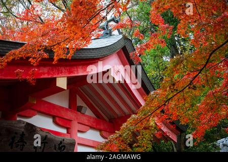 NARA, Giappone -22º Novembre 2019: di Kasuga Taisha è famosa per i suoi molti bronzo e lanterne di pietra. Foto Stock