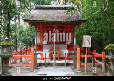 NARA, Giappone -22º Novembre 2019: di Kasuga Taisha è famosa per i suoi molti bronzo e lanterne di pietra. Foto Stock