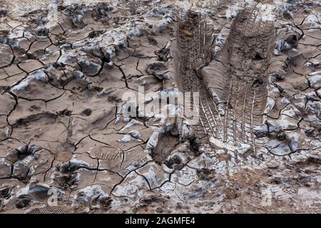 Stampe di animali, umani e veicoli in fango incrinato essiccato Foto Stock