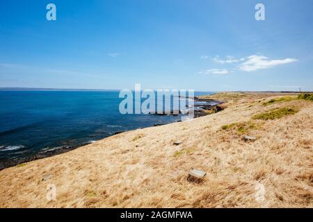 Shelley Beach a Philip Island in Australia Foto Stock