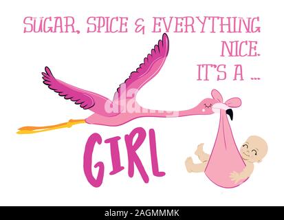 Zucchero, spezie e tutto bello. Si tratta di una ragazza. - Funny flamingo stork illustrazione con baby girl. Tipografia illustrazione per il nuovo nato. Buon per il pos Illustrazione Vettoriale