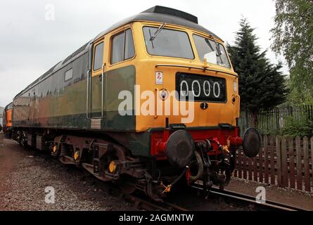 Motore diesel British Rail classe 48, in livrea verde e gialla - 0000 , IM45, tipo spazzola 4, in cantiere merci, Inghilterra, Regno Unito Foto Stock