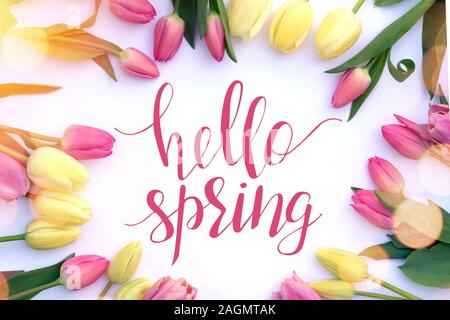 Colorati tulipani freschi su sfondo bianco e testo ciao molla. Foto Stock