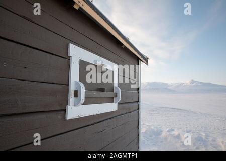 Orso polare persiana su una piccola cabina in Svalbard, Norvegia Foto Stock