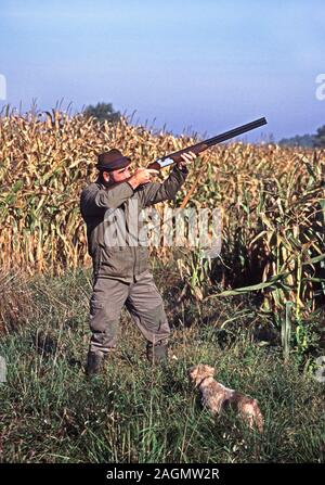 Campagna inseguimenti.ripresa.L'uomo con un cane di piccola taglia e una con un fucile da caccia sollevata in piedi accanto a un campo di mais mature.a sud-ovest della Francia. Foto Stock