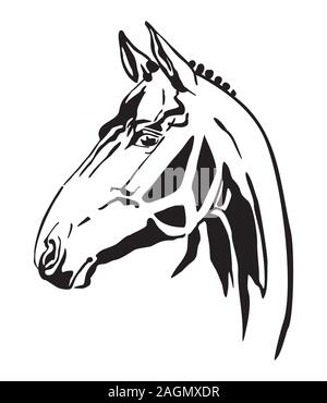 Decorativo contorno monocromatica ritratto di cavallo da corsa cercando di profilo, illustrazione vettoriale in colore nero isolato su sfondo bianco. Immagine per accedere Illustrazione Vettoriale