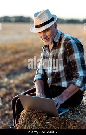 Felice autonomi uomo seduto sulla balla di fieno e digitando su laptop Foto Stock