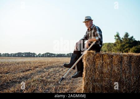 Allegro uomo barbuto nel cappello di paglia seduti sulla balla di fieno vicino campo di grano Foto Stock