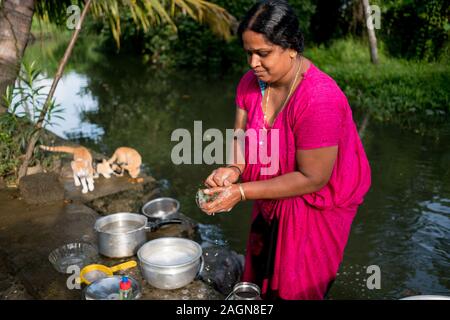 Alleppey, India - 22 settembre 2019: adulto donna indiana facendo le faccende quotidiane in India rurale lavaggio piatti dal fiume con tradizionale sari colorati di un Foto Stock