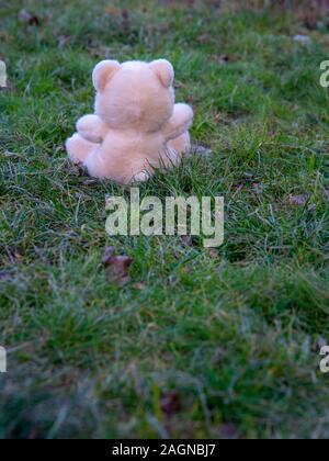 Un giocattolo Bear Cub si siede sul prato con la schiena per la fotocamera Foto Stock