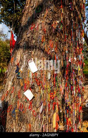 Choeung Ek del genocidio di centro (i Killing Fields) Phnom Penh Cambogia. Foto Stock