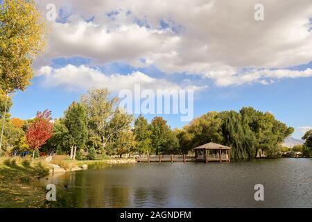 Visualizzazione dei colori autunnali presso un parco locale nel Vescovo, California su una tranquilla giornata. Foto Stock