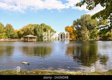 Visualizzazione dei colori autunnali presso un parco locale nel Vescovo, California su una tranquilla giornata. Foto Stock