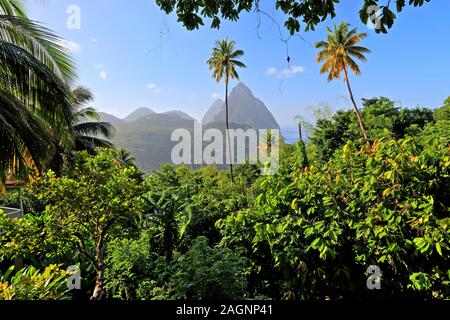 Paesaggio tropicale con i due Pitons, Gros Piton 770m e Petit Piton 743m, Soufriere, St. Lucia, Piccole Antille, West Indies, nelle Isole dei Caraibi Foto Stock