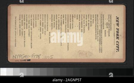 Panorama da Tribune Building (7 visualizzazioni) Viste generali di Manhattan, New York City: principalmente la parte inferiore di Manhattan dal Post Office, le Tribune Building, dal Ponte di Brooklyn Bridge Tower, Western Union Building, la Torre Shot, il prodotto Exchange e altre posizioni, e una vista di Central Park e i quartieri adiacenti da un aereo e uno che guarda a nord-est dal Flatiron Building. Include viste da Anthony, Campbell, Kilburn fratelli e altri fotografi ed editori. Robert Dennis raccolta di vista stereoscopica. Alcune viste hanno tax timbri apposti. Titolo ideato da catalogo Foto Stock