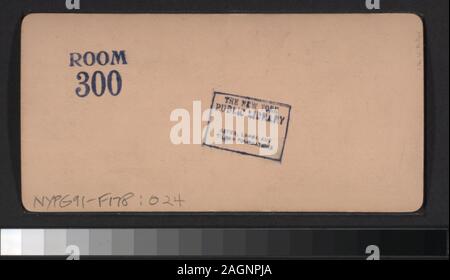Panorama di abbassare NY, da produrre Exchange, NY City viste generali di Manhattan, New York City: principalmente la parte inferiore di Manhattan dal Post Office, le Tribune Building, dal Ponte di Brooklyn Bridge Tower, Western Union Building, la Torre Shot, il prodotto Exchange e altre posizioni, e una vista di Central Park e i quartieri adiacenti da un aereo e uno che guarda a nord-est dal Flatiron Building. Include viste da Anthony, Campbell, Kilburn fratelli e altri fotografi ed editori. Robert Dennis raccolta di vista stereoscopica. Alcune viste hanno tax timbri apposti. Titolo ideato Foto Stock