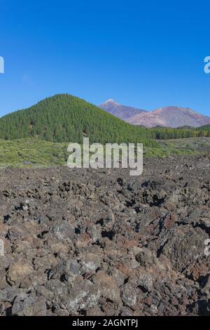 Il Teide e Montaña Blanca vulcani, con canarian verde foresta di pini e il paesaggio vulcanico e cielo blu, Tenerife, Isole canarie, Spagna Foto Stock