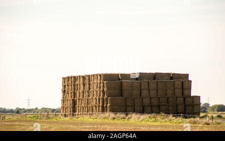 Una grande quantità di fieno impilati bails. Foto Stock