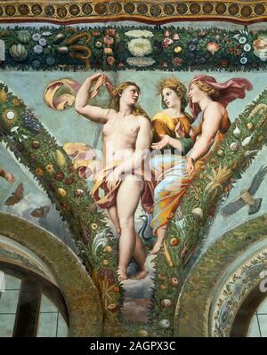 Venere, Ceres e Juno. Museo: Villa Farnesina a Roma. Autore: Giovanni da Udine. Foto Stock