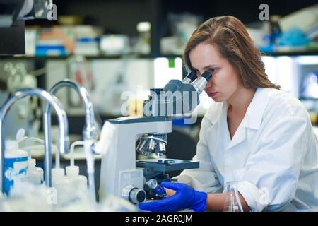 Donna ricerca scienziato che lavora in laboratorio Foto Stock