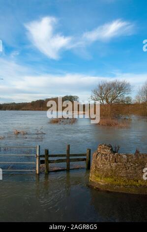 Campi allagati vicino Radwell Bedfordshire England Regno Unito nel gennaio 2014 quando vi è stato gravi inondazioni in molte parti della Gran Bretagna Foto Stock