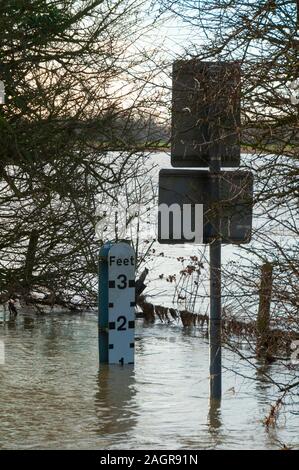 Campi allagati vicino Radwell Bedfordshire England Regno Unito nel gennaio 2014 quando vi è stato gravi inondazioni in molte parti della Gran Bretagna Foto Stock