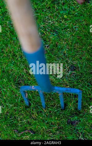 Blue forcone infissa a terra durante la preparazione di suolo di giardino.In primo piano lombrico fatta di compost, un segno di qualità topsoil senza prodotto chimico Foto Stock