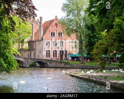 Bridge, canal e la vecchia casa sulla piazza Wijngaardplein a Bruges, Belgio Foto Stock